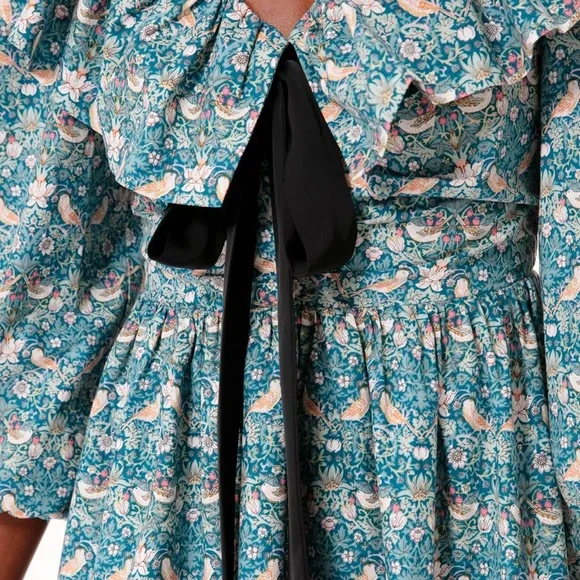 Tuckernuck Hyacinth House Ruffle Collar Birdsong Mini Dress - Picture 3 of 7